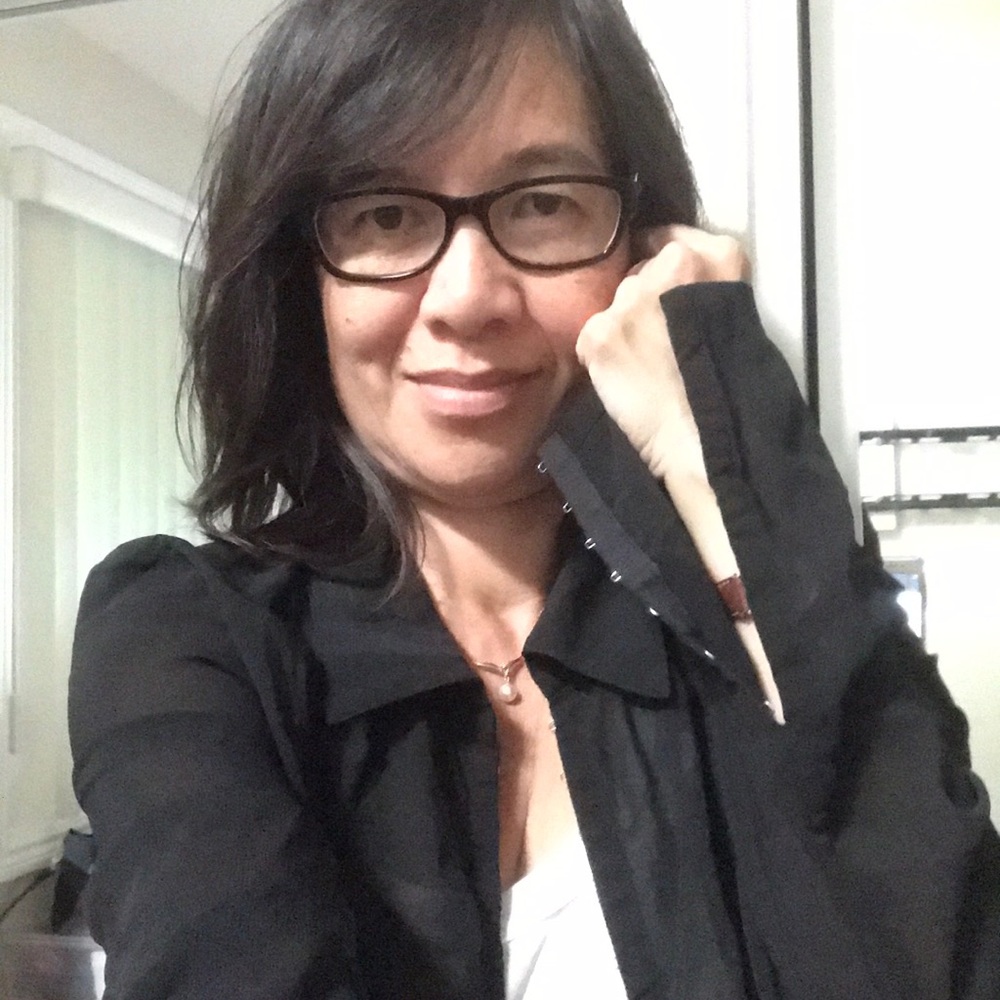 Vintage Cache blouse